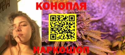 mdpv Заводоуковск